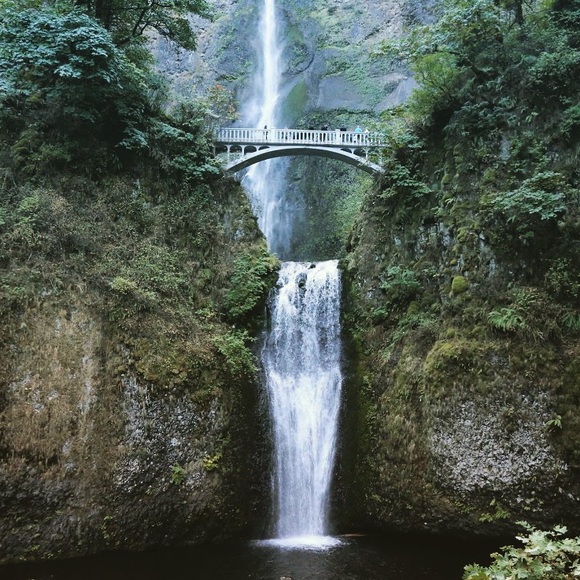 Happy Poshing! - Picture 9 of 13